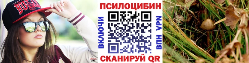 Псилоцибиновые грибы Psilocybine cubensis Тула