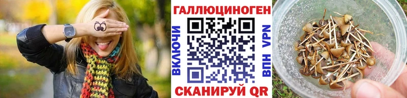 купить наркотики цена  Тула  Галлюциногенные грибы Cubensis 